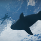 Illustration for article titled Merry Christmas! Here are Five New Screens of emGrand Theft Auto V/em.